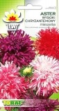Aster chryz.mix 1g